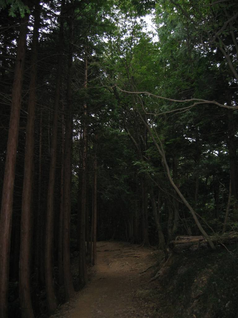 gal/Autour de Tokyo/Takaosan/106_0678.jpg